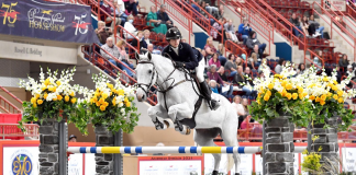 Kaitlyn Williams Wins $30,000 Alltech/Lifeforce 1.45m Grand Prix at PNHS