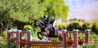 Alexis Taylor and Catendro Score High Performance Hunter Championship at National Sunshine Series I