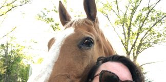 How the Equestrian Community Can be More Size-Inclusive