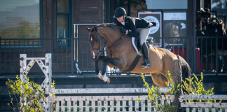 Megan Rosenthal and Den Dekker Celebrate Victory in $2,500 USHJA National Hunter Derby at Tryon Fall Finale