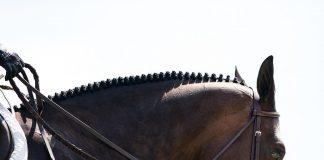 Keeping the Barn Trauma-Free