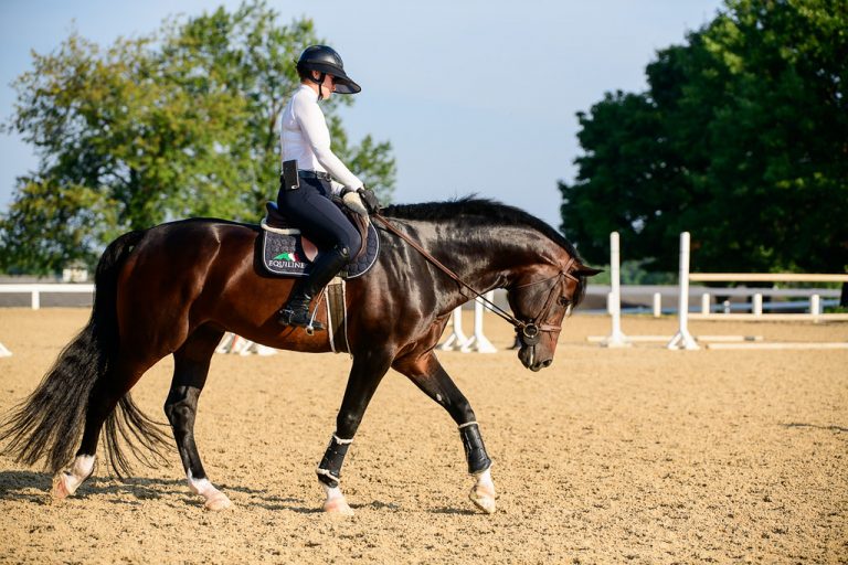 The Case For DarkColored Breeches The Plaid Horse Magazine