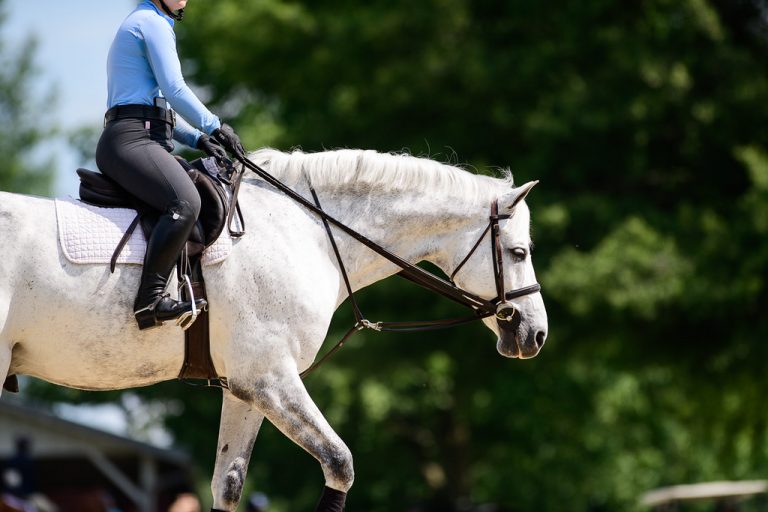 The Case For DarkColored Breeches The Plaid Horse Magazine