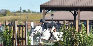 Eva Mackenzie Rides Farmore State of the Art to Grand Pony Hunter Championship at WIHS 2021