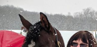 OTTB A Grand Offer Finds a New Normal with Amateur Owner