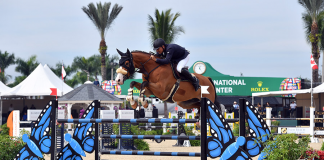 Fabio Leivas Da Costa and Ilex Speed to the Top in the $25,000 Everglades Farm Equipment Grand Prix at ESP November
