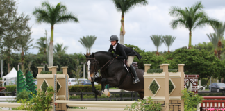 Providence and Molly Sewell Shine in $2,500 USHJA National Hunter Derby at ESP November