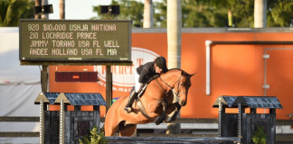 Jimmy Torano and Lochridge Prince Reign Supreme in $10,000 USHJA National Hunter Derby at SFHJA Charity Horse Show