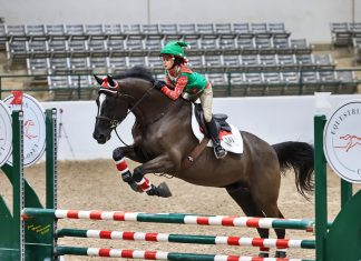 Getting in the Holiday Spirit with the Great Southwest Equestrian Center