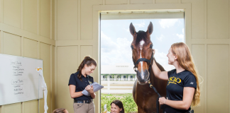 A World-Class Curriculum at Savannah College of Art and Design