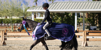 Always Happy and Taylor Morrow Claim First Derby Victory in USHJA Pony Hunter Derby at Desert Holiday I