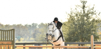 Claire Kellner Pilots Caligua to $12,500 WEC Ocala 3’6″-3’9″ Hunter Derby Win