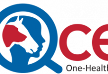 eQcell Inc. Announces Completion of Capital Raise