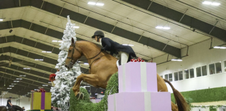 Molly Mcadow and Caston Prove Outstanding in WEC – Wilmington Hunter Derby 3′