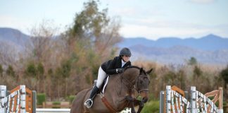 Avery Glynn and In Favor Capture Championship in Junior Hunter 16-17 3’6″ at Desert Circuit I
