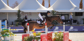 Keri Potter and Quitana 11 Are Quick to Win $5,000 Vita Flex 1.40m Two Phase CSI3* at Desert Circuit II