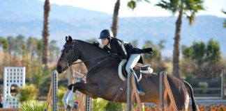 Leila Palestrant and Elevation Ride to Win Child/Adult Hunt & Go Derby 2’6″-2’9″ at Desert Circuit I