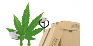HOW HAVE WEED DELIVERY SERVICES CHANGED THE VIEW OF WEED LOVERS?