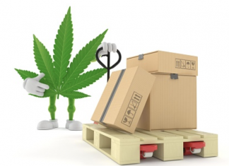 HOW HAVE WEED DELIVERY SERVICES CHANGED THE VIEW OF WEED LOVERS?