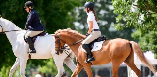 How Self-Conscious Riders Can Feel More Confident Riding in a Crowded Ring