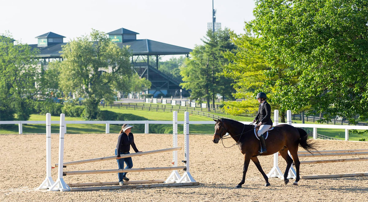 You Are a Student, Not a Customer - The Plaid Horse Magazine
