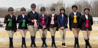 IEA Hits All-Time Membership Record During 20th Anniversary Season