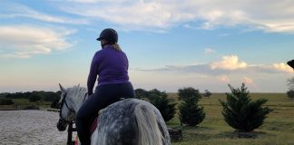 It’s Never “Just a Horse”