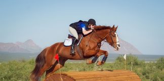Ride of a Lifetime