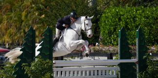 ARI Green Hunter 3’3” Ends in Wonderous Win at WEF 5