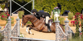 Chelsea Brittner and Berry de Maillet Bring Home Victory in $10,000 Valencia Saddlery USHJA National Hunter Derby at Desert Circuit III