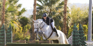Jamie Sailor and Get Rowdy Clinch High Performance Hunter Championship at Desert Circuit IV