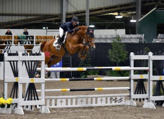 Jacqueline Ruyle Rules the $25,000 ReRide Tack Grand Prix at Texas Winter Series