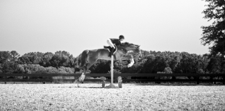 Trust Your Horse’s Gut — Not What’s Trendy