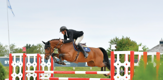 American Bred: Meet the “Little Rocket” That is Henrietta