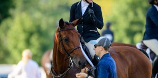The Conversation No One Wants to Have: Talking to Kids About Horses and Money