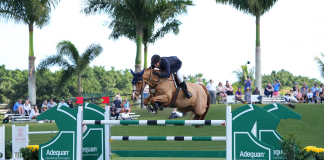 McLain Ward Saves the Best for Last in $50,000 Adequan WEF Challenge Cup Round IV CSI4* Victory