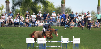 Ward Leaves It All on the Field for Victory in $216,000 Bainbridge Companies Grand Prix CSI4* at WEF 4
