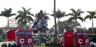 Nicola Philippaerts Closes Out Week 6 with Victory in the $25,000 CP National Grand Prix