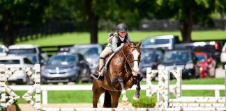 What I’ve Learned from Taking Horseback Riding Lessons with Ten-Year-Olds