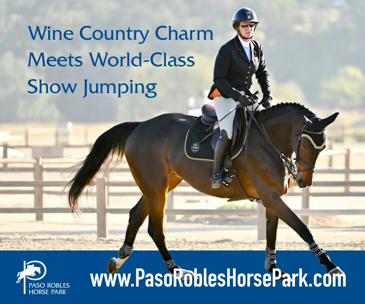 Plaidcast 151 The Evolution of The Tack Sales Industry The Plaid