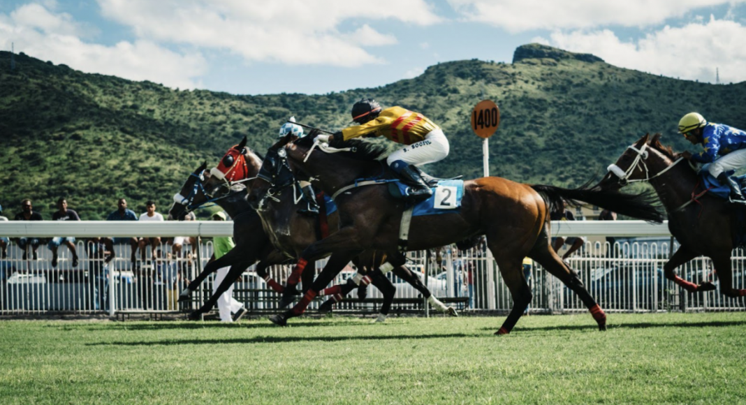 Previewing The 2022 Arkansas Derby The Plaid Horse Magazine