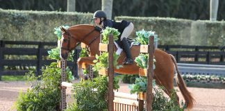 Ava Barnes and Prestige Continue Their Winning Ways in Large Pony Hunters at WEF 8