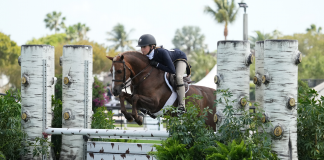 Consistency Key for Ava Barnes and Rico Suave’ in $5,000 USHJA Pony Derby at WEF 9
