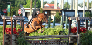 Beerbaum Bests All in Large Pony Hunter Division at WEF 11