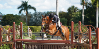 The Future is Bright for WEF 8 Young Hunter (6 and Under) Division Champion Luxor