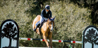 Brooke Kemper and Rocket J Squirrel Top the Podium in the Classic Champions CSI1* Welcome at Live Oak International