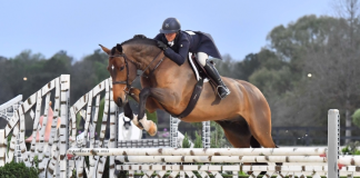 Samantha Schaefer and In the Know Score $20,000 WEC 3’6″-3’9″ Hunter Derby Hat Trick