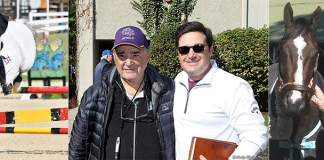 TAKE2 Celebrates 10 Years in Support of Retired Racehorses