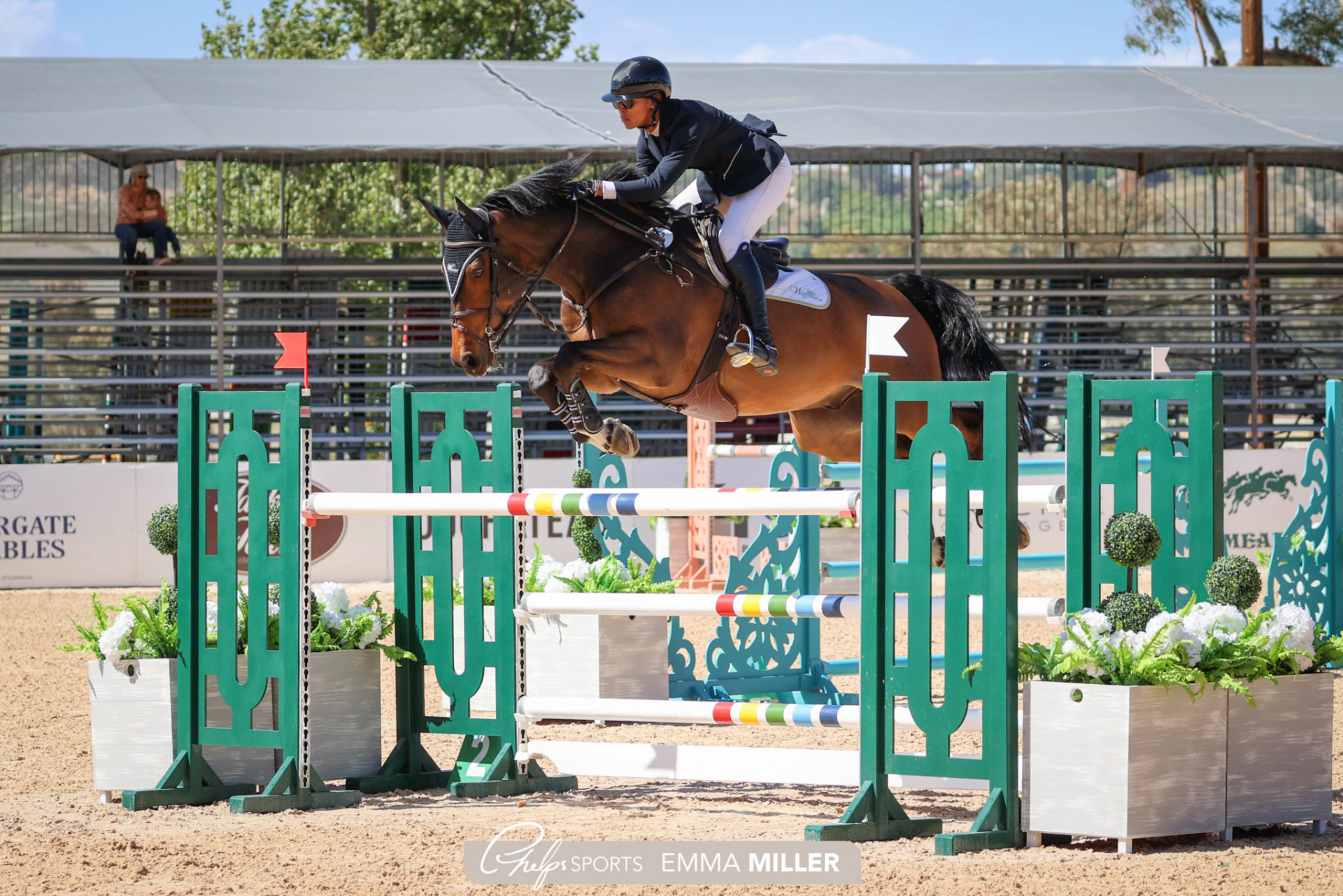 Mavis Spencer and Con Calle Capture Win in $5,000 1.35m Welcome Stake ...