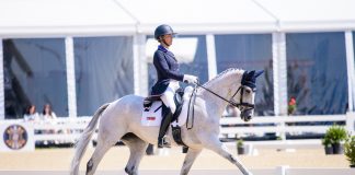 LRK3DE 5* Dressage – Day 1 Photo Gallery